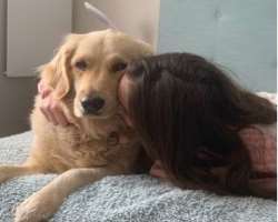 Lewitton is accompanied by a big furry dog in her home. She named the dog Jesse. Jesse has his own Instagram account with over 750 followers.